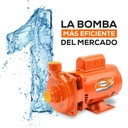 MOTOBOMBA CENTRIFUGA EVANS 1/4 H