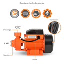 Bombas_de_Superficie_EVANS_BP050_40M_2L.webp