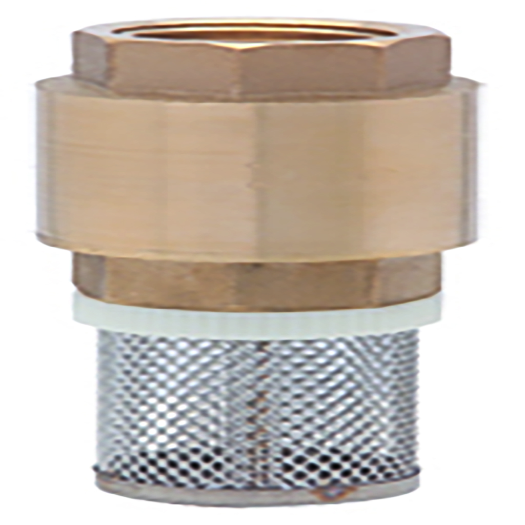 VALVULA PIE/PINCHANCHA C/CANASY RES DICA