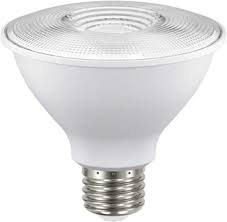 LAMPARA MODELO PAR38-LED/001/65