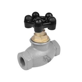 VALVULA GLOBO (PIPESA) IUSA GAS 