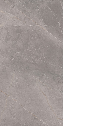 PISO SAN GABRIEL 50X100 CM 1.5 M2/CAJA RECTIFICADO VITROMEX