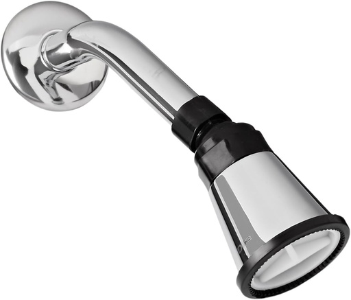 [0505F4500B] REGADERA C/BZO Y CHAPETON F-4500B DICA