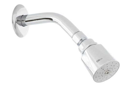 [0505F4501B] REGADERA CON BRAZO DE HIERRO F-4501B DICA