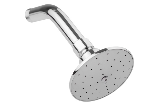 [0505F4504B] REGADERA C/BZO Y CHAPETON F-4504B DICA