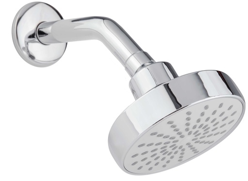 [0505F4541] REGADERA C/ BRAZO Y CHAPETON CROMO F-4541 DICA