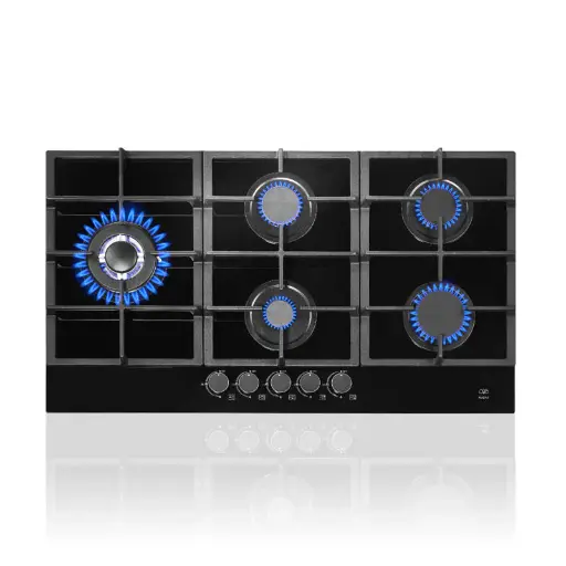 [16FHEV5] PARRILLAS DE GAS 5 QUEMADORES CON CUBIERTA DE VIDRIO TEMPLADO NEGRO F-HEV5 AVERA