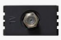 [ESIM2547638] TOMA TV COAXIAL GRAFITO